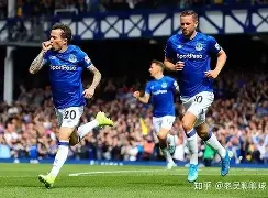 纽卡斯尔联被埃弗顿逼平,保级形势更加险峻的简单介绍 纽卡斯尔联被埃弗顿逼平,保级形势更加险峻的简单介绍