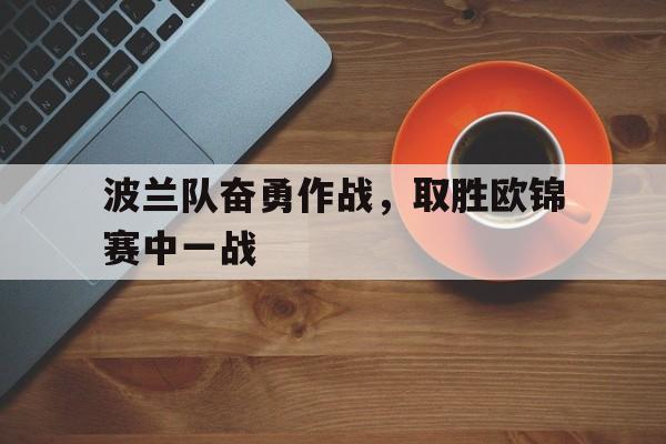 波兰队欧洲杯